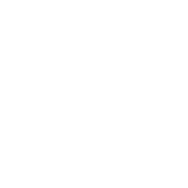 没订单